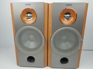 ss nx1 speakers