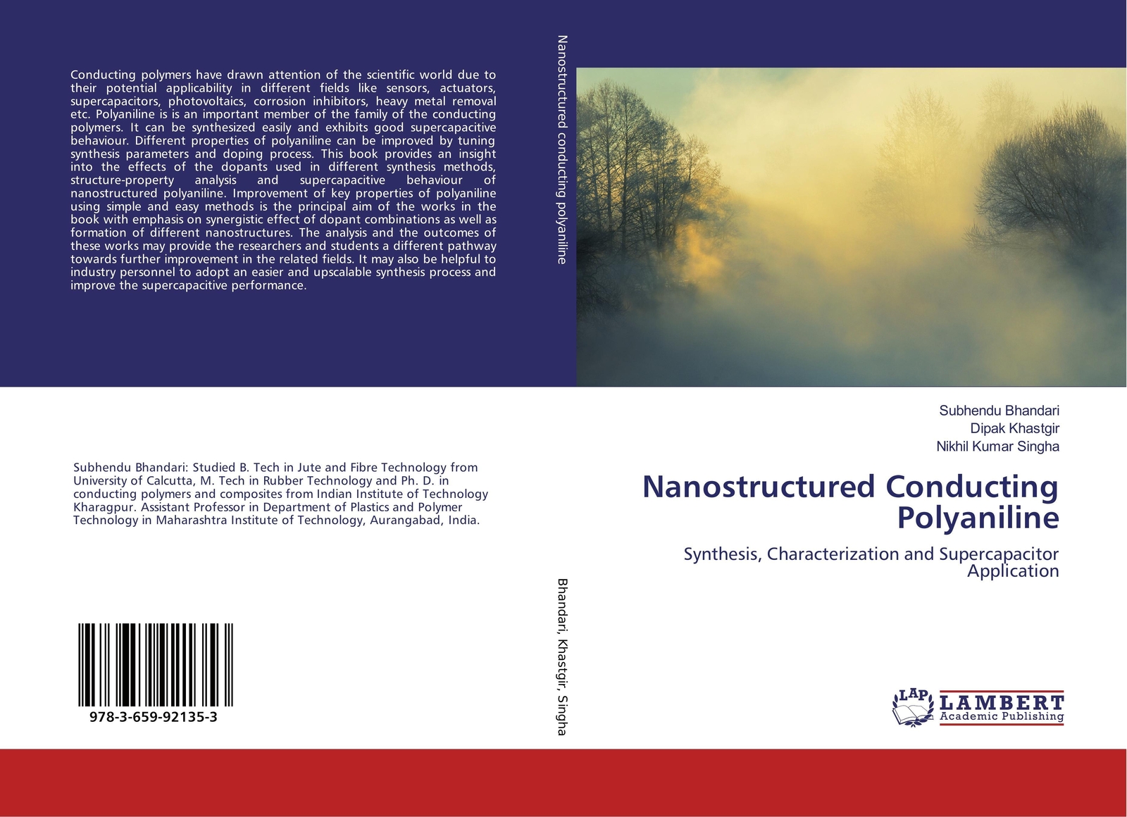 Thumbnail - Subhendu Bhandari (u. A.) | Nanostructured Conducting Polyaniline |
