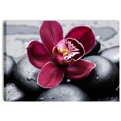 Blume schwarze Steine 3 - Leinwandbild mit Orchidee Steine 70x50 für Bad Büro