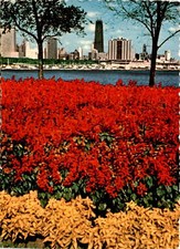 Vintage Postcard: Majestic John Hancock Center in Chicago