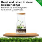 Bild 2 von 8