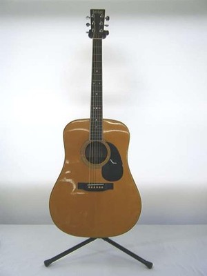 CAT'S EYES CE-250 Acoustic Guitar-01
