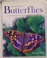 The World of Butterflies by Patrick Hook 1999