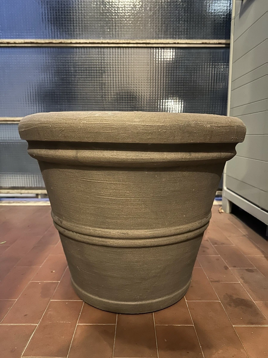 Piattini per piante confezione da 10 di vaschette antigoccia trasparenti per piante da interno per esterni giardino trasparente 30cm 12 pollici  15