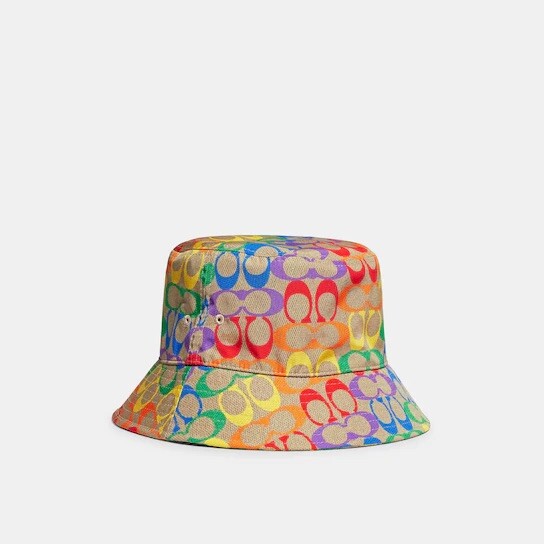 Coach Rainbow Signature Bucket Hat c9919 Coach Retail | eBay