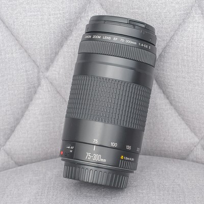 Canon Ef 75 300mm F4 5 6 Ii Lens Ebay