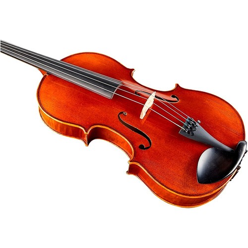 Ren Wei Shi Academy II Series Violin Outfit 1/8 - Picture 4 of 8