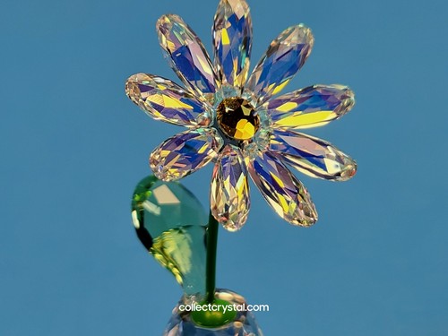 Swarovski, Flower Dreams Lim-Ed 2020 Daisy Aurora Borealis, Art No: 5529233 - Imagen 10 de 11