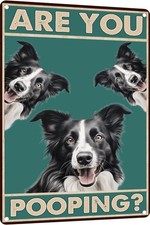 Dog Border collie Are You Pooping Vintage Tin Metal Signs Home D cor 8x12