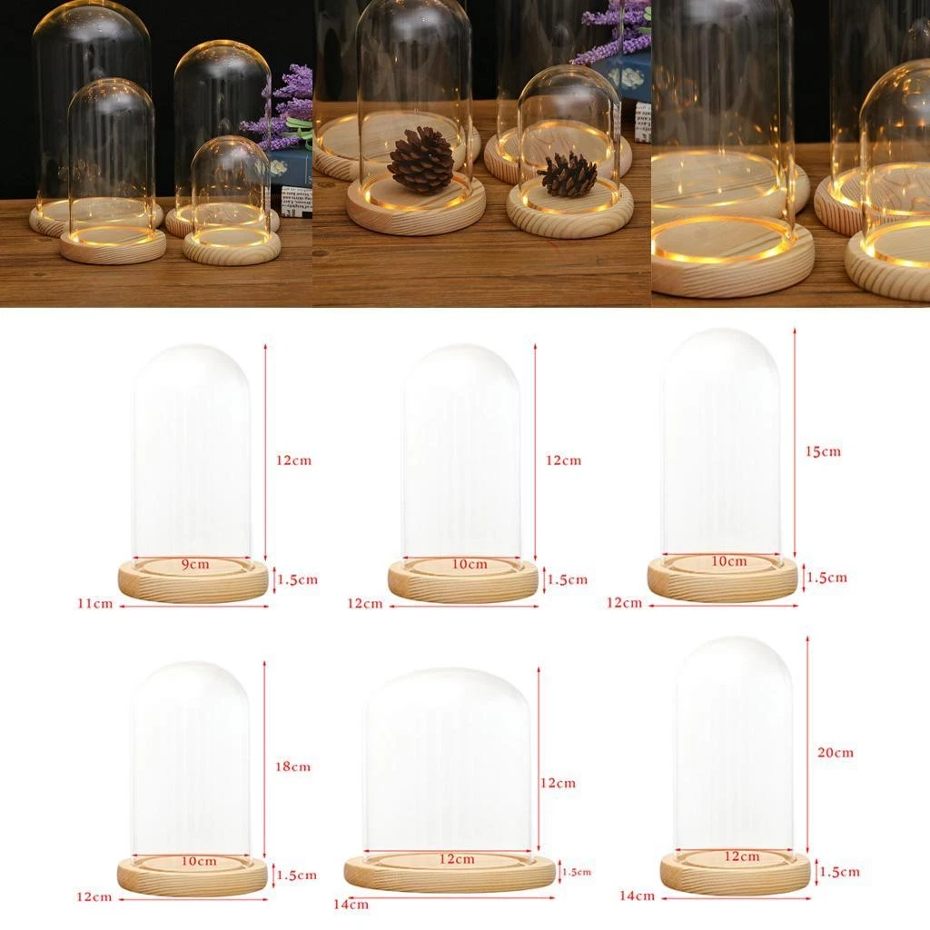 Clear With LED Microlandscape Holder