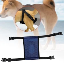 Female Dog Diaper for Girl Dog in Period Heat Dog Menstrual Period Pants