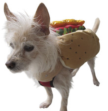 Puppy Dog Costume Hotdog Bun & All the Fixings Dog Size Small Cosplay HALLOWEEN