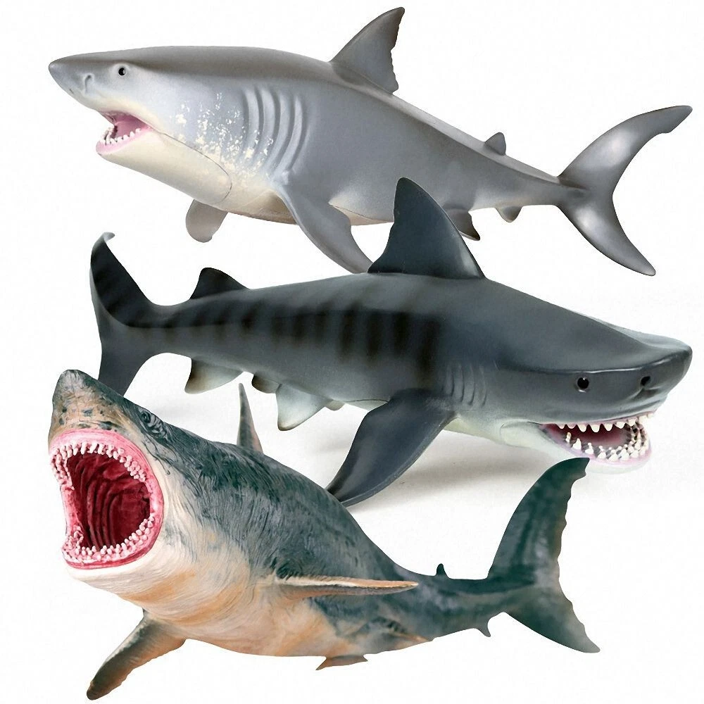 Megalodon Shark Vs Whale Shark