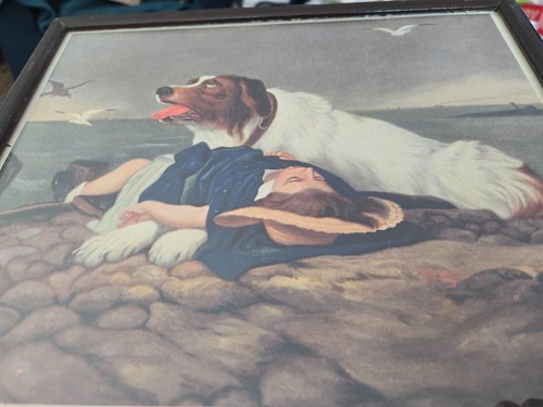 Vintage St. Bernard Saving Girl Picture, Circa 1900's - Picture 2 of 3