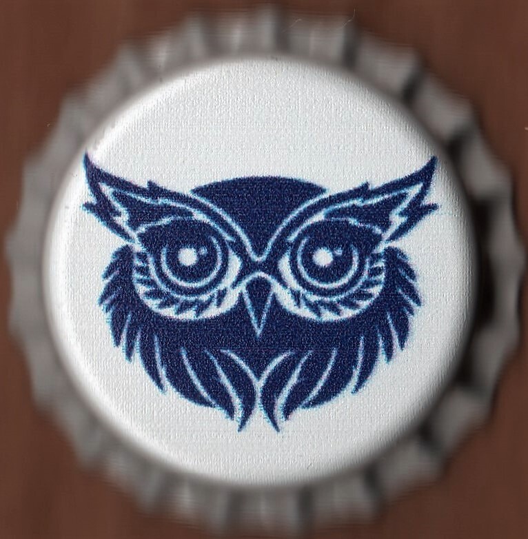 USA Plastic Lined Beer Crown Bottle Cap: Blue Owl Brewing