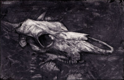 Cow skull drawing | Realism | Graphite and Ink on Claybord | art print