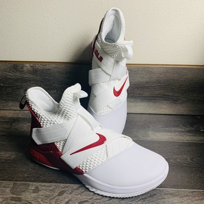 lebron soldier 12 tb