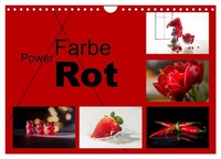 "Calendar 2027 · US Version · Power Color Red (Wall Calendar 2027 12\" × 8\" Landsc"