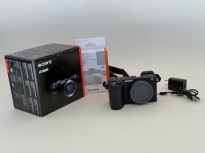 Sony A6600  Camera Body - very low shutter count: 828 -w Sony  screen protector