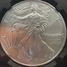 2013-W Burnished- American Silver Eagle MS69 NGC  030160