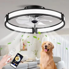 Ceiling Fans with Lights and Remote, Low Profile Ceiling Fan, 3000-6000K Dimmabl