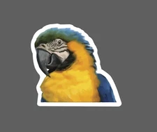 Parrot Sticker Realistic Bird Waterproof Pet Animal Outdoor Gift NEW