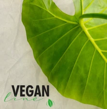 Permanent Eyebrow and Eyelash Color *THUYA VEGAN* Eyebrow and Eyelash Dye, 14ml