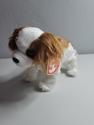 TY Beanie Baby - REGAL the King Charles Spaniel Dog (6'') Hang Tag 2000 Tush 2001