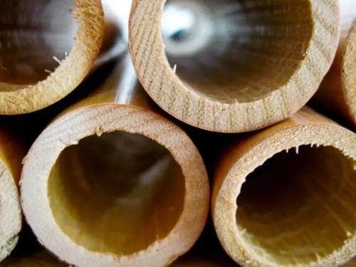 G1 Reeds Cane Drone Reed Set  Bagpipe Bagpipes Pipes - Picture 8 of 8