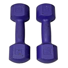 Set of Two 5 LB Dumbbells Purple Pair Hand Weights 10 LB total weight