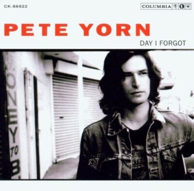 Day I Forgot by Pete Yorn (Record, 2019)