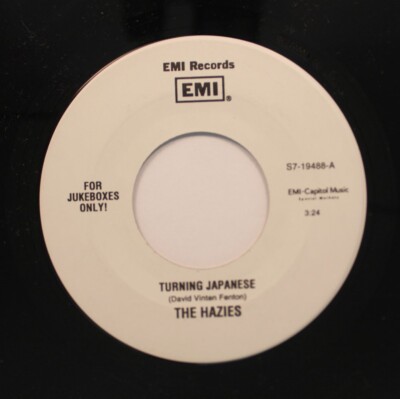Rock 45 The Hazies - Turning Japanese / Kung Fu Fighting On Emi | eBay