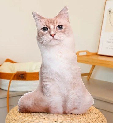 Ragdoll Cat 3D Pillow Plush Toy 18'' Stuffed Animal Toddler Doll Gift for Kids