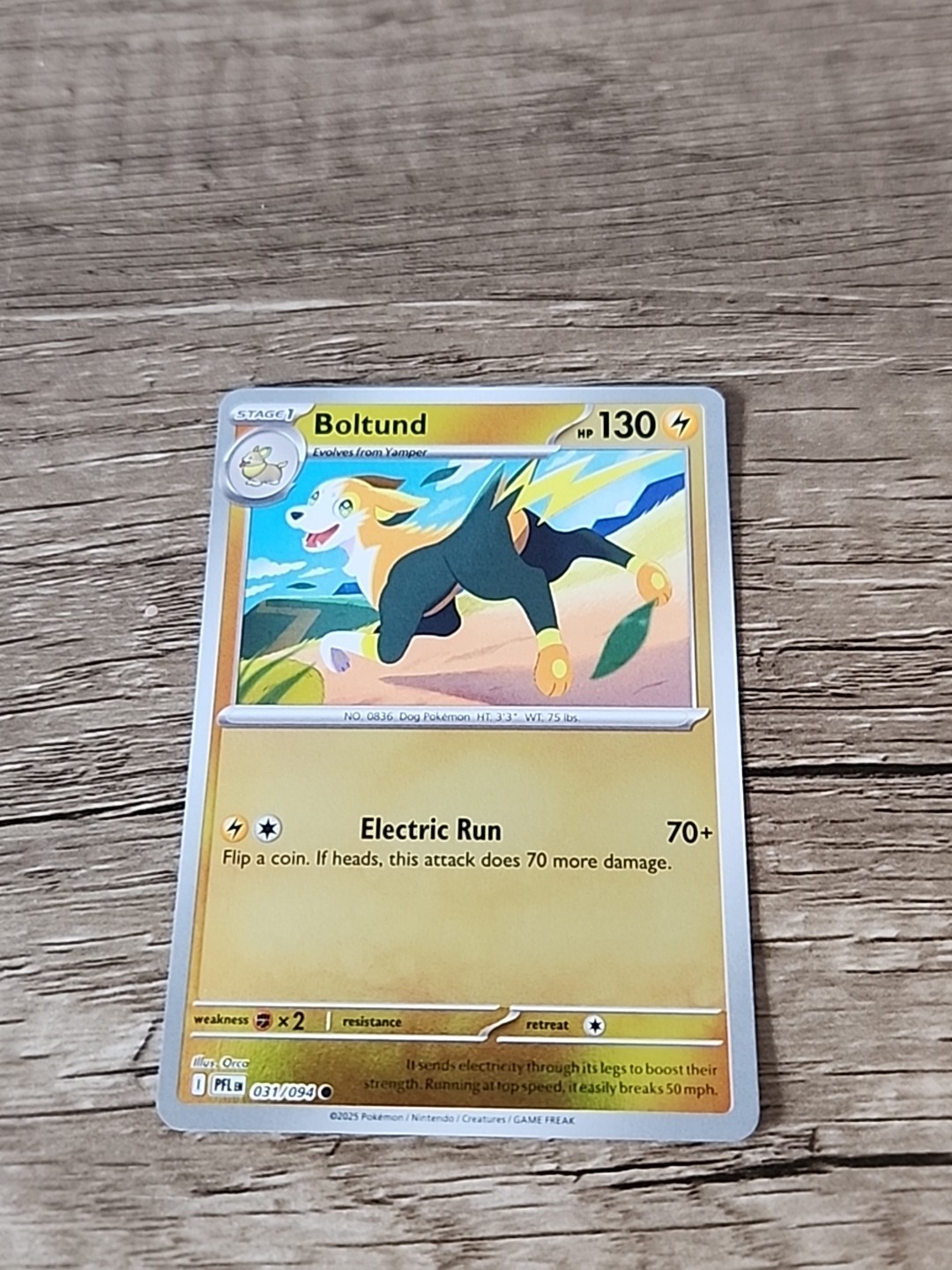 Boltund 031/094 Me02: Phantasmal Flames Reverse Holo