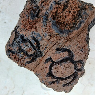 Sea Turtle honu Petroglyph Ancient Art Hawaiian Hieroglyph Rock Stone Carving  