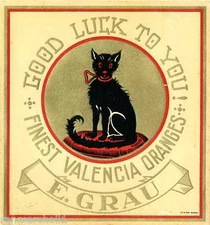 Valencia Spain Black Cat Good Luckto You Orange Citrus Fruit Crate Label Print