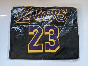 Nike Los Angeles Lakers '21 Earned 