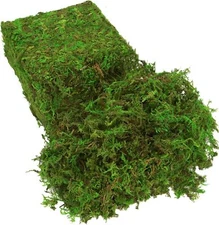 Fake Moss for Plants Indoor 16OZ Green Moss for Crafts Artificial Moss for Fa...