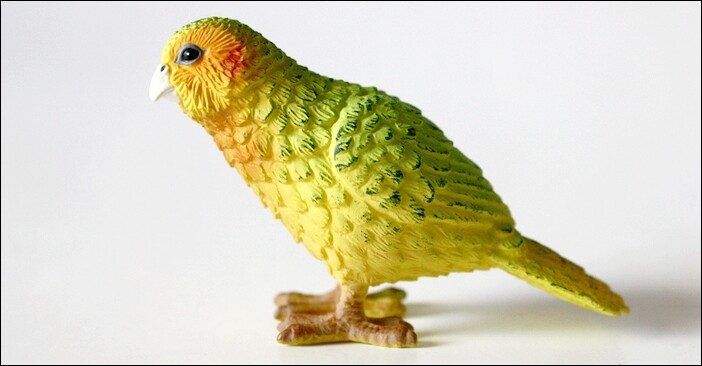 NEW SCIENCE & NATURE New Zealand Kakapo Bird Plastic Model | eBay UK