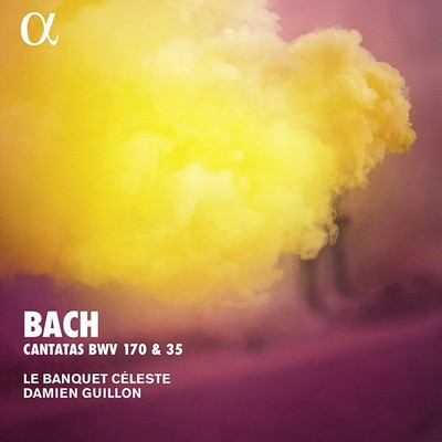 Johann Sebastian Bach Bach: Cantatas BWV 170 & 35 (CD) Album