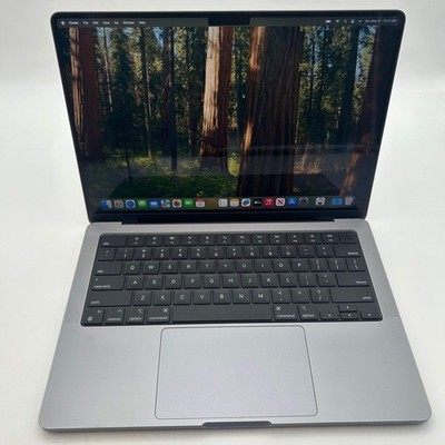 Apple MacBook Pro 14'' M1 A2442 MKGP3LL/A 16GB RAM 1TB SSD 8C 86% BH