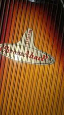 VINTAGE SAKOVA CHROMAHARP AUTOHARP 15 CORD MODEL