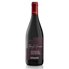 PINOT NERO Friuli Doc 2024 FORCHIR