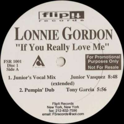 Lonnie Gordon - If You Really Love Me 2x12'' Promo Vinyl Schallplatte 0