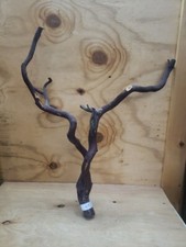 Forked Manzanita Branches craft bird perch reptile fish 26" x 24"  49 