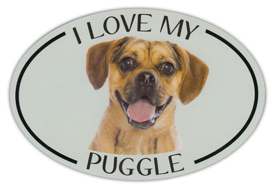 Oval Dog Breed Picture Car Magnet - I Love My Puggle - Bumper Sticker Decal