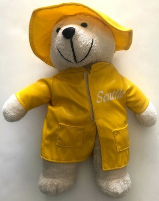teddy bear in raincoat