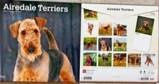 Airedale 2026 Wall Calendar, 12'' X 12'', 16-Month Calendar