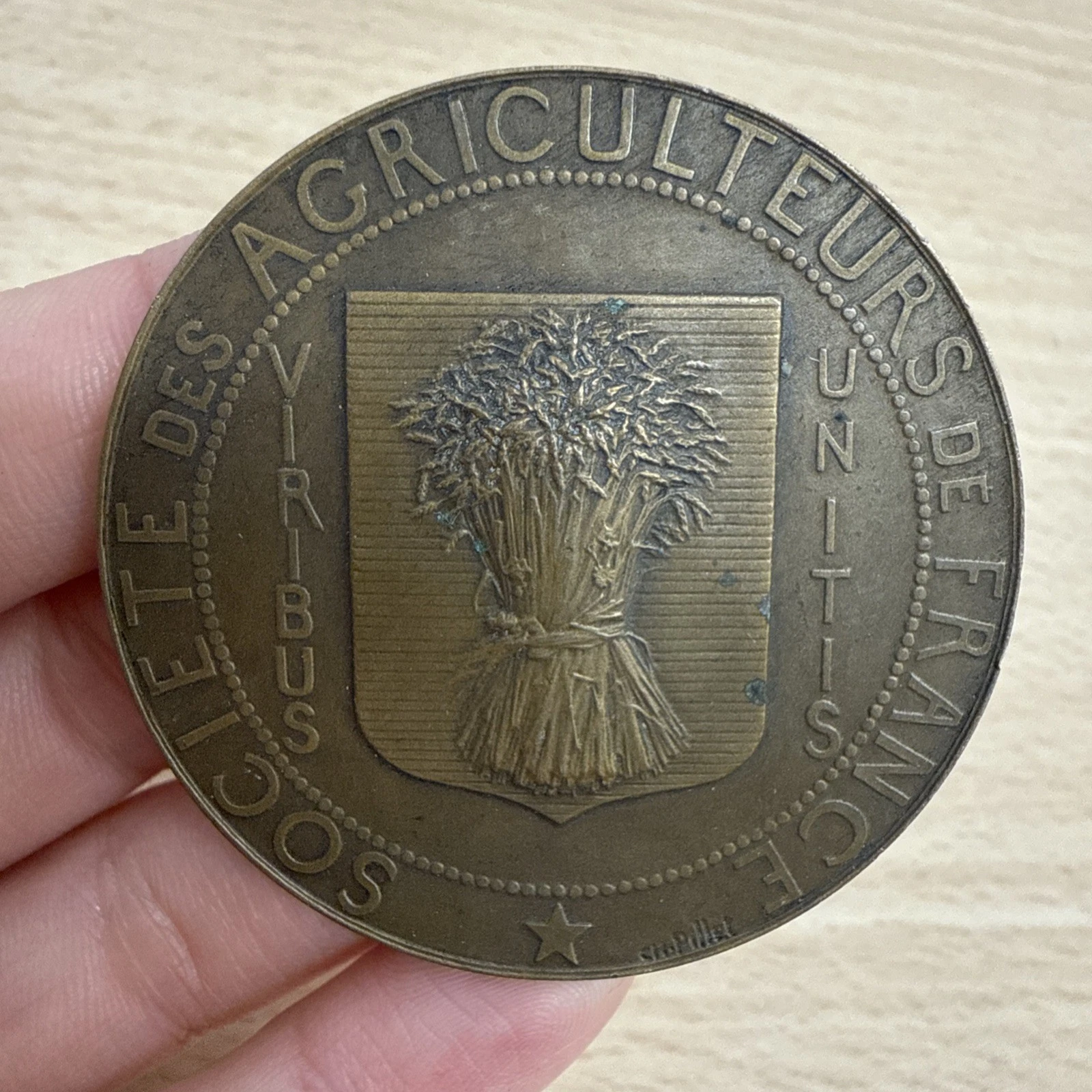 Médaille Société Des Agriculteurs De France En Bronze