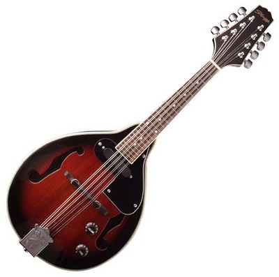 Akustik-Elektrik Bluegrass Mandoline Redburst Natodecke ideal für Einsteiger!